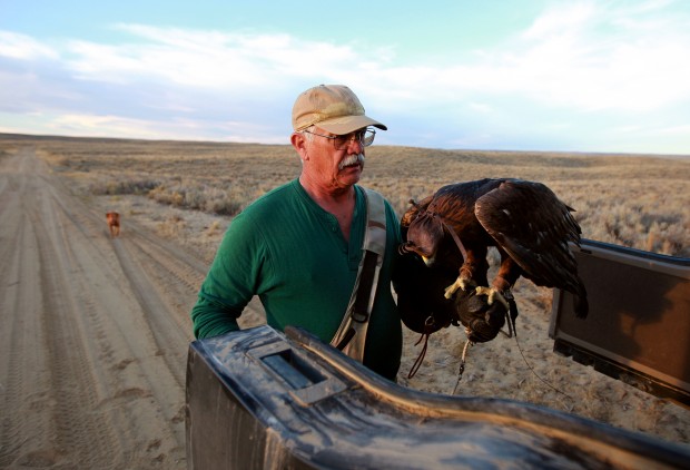 Falconry